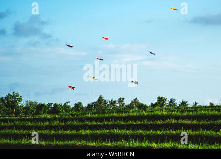 Immagine che mostra aquiloni volare nel cielo al di sopra di una terrazza di riso durante un kite festival di Bali, Indonesia Foto Stock