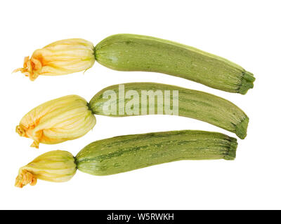 Zucchina piccola con fiori isolati su sfondo bianco. Foto Stock