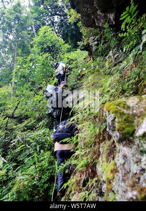 Un apicoltore si arrampica su una ripida scogliera di una montagna di raccogliere miele da alveari in legno in Rongshui Miao contea autonoma, Liuzhou city, a sud della Cina di Guan Foto Stock