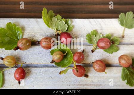 Dolci freschi ribes berry in una ciotola su sfondo scuro. vista superiore Foto Stock