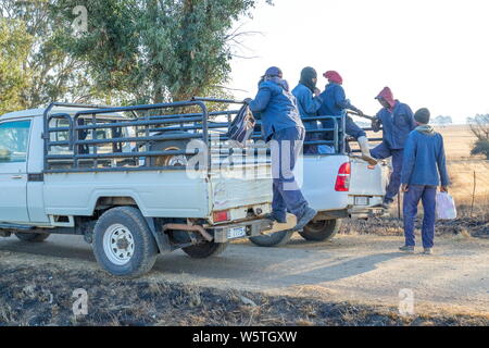 Bergville, Sud Africa - nero non identificato i lavoratori agricoli vengono fatti scendere in strada dopo una giornata di lavoro immagine in formato orizzontale Foto Stock