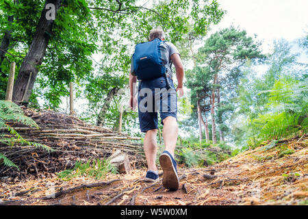 Giovane uomo caucasico a piedi con zaino in boschi dal retro. Vista dal basso tracking turistica attraverso la foresta di estate. Avventura, viaggi, turismo, hik Foto Stock