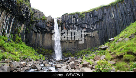 Magnifica cascata Svartifoss (noto anche come la caduta di nero). Situato a Skaftafell, Vatnajokull National Park, nel sud dell'Islanda. Foto Stock