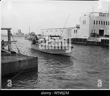 Fotografia di una barca con membri del Presidente Truman del partito di vacanza su una spedizione di pesca, a Key West, Florida. Foto Stock