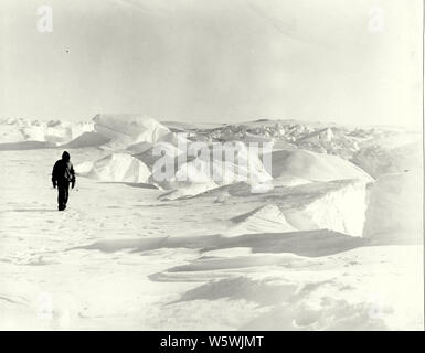 Baia di balene, Ross ice shelf, Roosevelt Island, l'Antartide. Chiamato da Ernest Shackleton a causa del grande prescence di balene nella baia Foto Stock