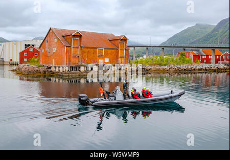 Persone vestite con abiti termici e giubbotti di sicurezza, seduto su una barca di nervatura di sperimentare un'aquila di mare safari, Svolvaer, Austvågøya, Lofoten , Norvegia. Foto Stock