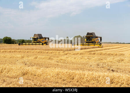 Cheltenham, Gloucestershire, Inghilterra, Regno Unito. Due le trebbiatrici mietitrebbia funzionante per la mietitura di un campo di orzo che quando essiccato viene inviato ad un produttore di birra Foto Stock