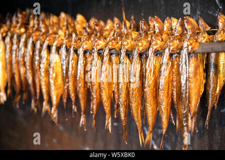 Essendo le aringhe affumicate a Hasle Rogeri smokehouse Hasle, Bornholm, Mar Baltico, Danimarca, Europa Foto Stock