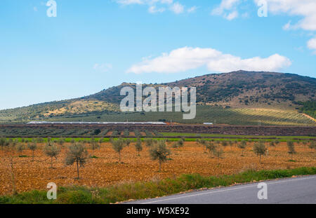 AVE il treno ad alta velocità che viaggiano lungo La Mancha. Fuente El Fresno, Ciudad Real Provincia, Castilla La Mancha, in Spagna. Foto Stock