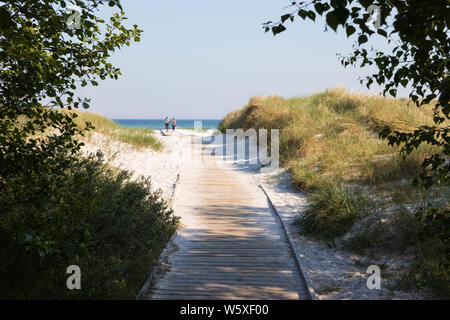 Spiaggia di sabbia bianca di Dueodde sull isola della costa sud, Dueodde, isola di Bornholm, Mar Baltico, Danimarca, Europa Foto Stock