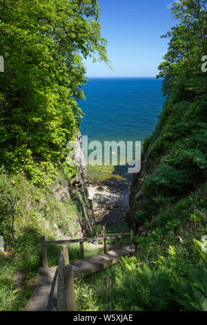 Gradini ripidi che portano fino alla spiaggia di ciottoli a Torre Ovn, Helligdomsklipperne, vicino Gudhjem, Bornholm, Mar Baltico, Danimarca, Europa Foto Stock