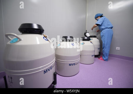 Un medico cinese lavoratore esegue i test genetici su uova fecondate o gli embrioni per provetta neonati nel laboratorio della provincia di Shanxi Scienc riproduttiva Foto Stock