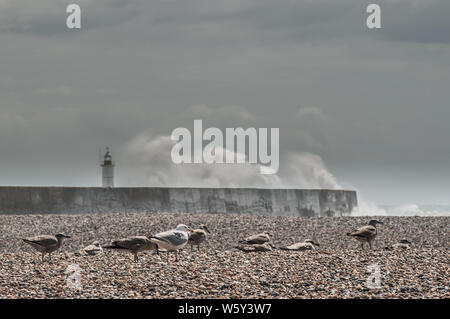 Newhaven, East Sussex, Regno Unito. 30th luglio 2019. Forti venti da Sud sbattono le onde lungo la costa meridionale. Foto Stock