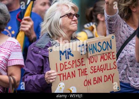 Cardiff, Galles, UK, 30 luglio 2019. I dimostranti fuori della National Assembly for Wales Senedd edificio davanti al nuovo Primo Ministro britannico Boris Johnson l'incontro con il Primo Ministro del Galles Mark Drakeford. Credito: Mark Hawkins/Alamy Live News Foto Stock