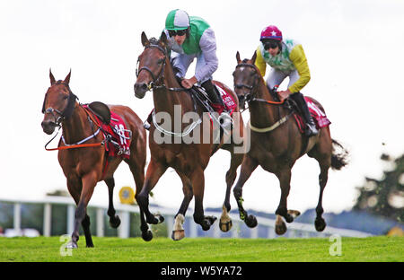 Zero dieci cavalcato da David Mullins vince il Quartiere Latino principianti siepi durante il giorno due del 2019 Summer Festival a Galway Racecourse. Foto Stock