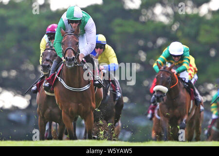 Zero dieci cavalcato da David Mullins vince il Quartiere Latino principianti siepi durante il giorno due del 2019 Summer Festival a Galway Racecourse. Foto Stock