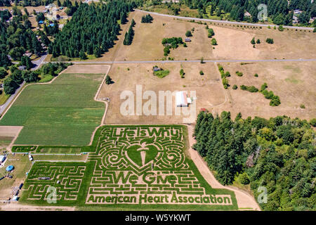 Labirinto di mais a Rutledge Farm in Tumwater, WA. Sponsor di questo anno è l'associazione americana del cuore. Foto Stock