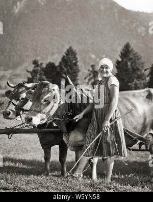 1920s 1930 Donna sorridente in abito nazionale guardando la telecamera che portano due mucche imbrigliato a carro NELLE ALPI Baviera Germania - c6748 HAR001 HARS lieta gioia femmine dello stile di vita rurale I LAVORI DI SALUBRITÀ HOME VITA NAZIONALE DI PRODOTTI LATTIERO-CASEARI LADIES FITNESS FISICO MUCCA GERMANIA PERSONE CHE CURA LA FIDUCIA di Agricoltura Agricoltura LEADER B&W corna di bovini occupazione specialità felicità competenze allegro FORZA POTENTE gli allevatori di vacche di orgoglio per le professioni di sorrisi BAVIERA ALPI BAVARESI GIOIOSA SMOCK elegante imbrigliato mammifero adulto GIOVANE UOMO BIANCO E NERO etnia caucasica addomesticati HAR001 bestiame in vecchio stile Foto Stock