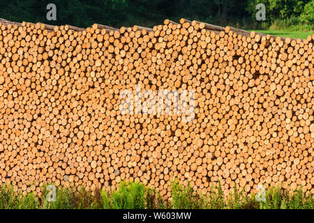 Sankt Georgen am Längsee: impilati albero rotondo, registri di foresta in , Kärnten, Carinzia, Austria Foto Stock