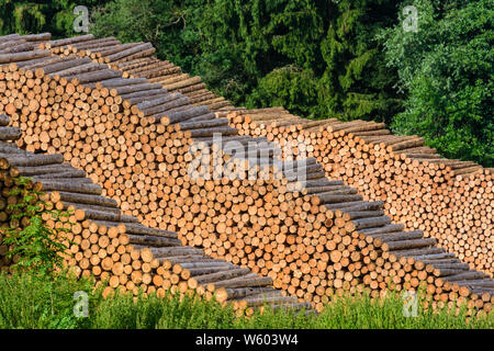 Sankt Georgen am Längsee: impilati albero rotondo, registri di foresta in , Kärnten, Carinzia, Austria Foto Stock