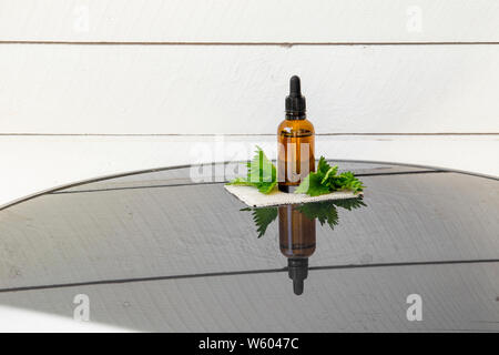 Ortica olio essenziale o per infusione endovenosa in marrone pipetta medico bottiglia con decorativo rami di ortica tavola di legno dello sfondo. Foto Stock