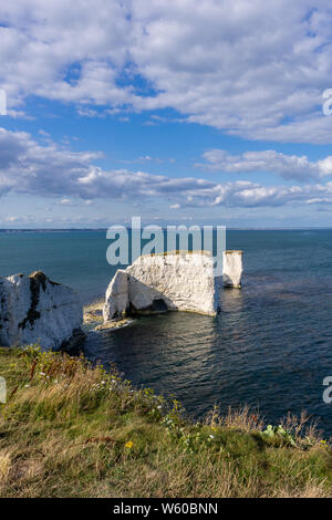 Old Harry Rocks, famoso chalk rock formazione sull'Isola di Purbeck Handfast punto, Jurassic Coast Sito Patrimonio Mondiale dell'UNESCO, Dorset, England, Regno Unito Foto Stock