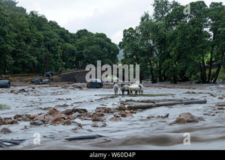 Holme Farm, Arkengarthdale, North Yorkshire Regno Unito. Il 30 luglio 2019. Regno Unito Meteo. Scene di devastazione come pioggia torrenziale provoca inondazioni che hanno attraversato Holme Farm in Arkengarthdale danneggiando edifici e di balayage alcuni animali di distanza. Nella vicina Swaledale un ponte anche crollata. Credito: David Forster/Alamy Live News Foto Stock