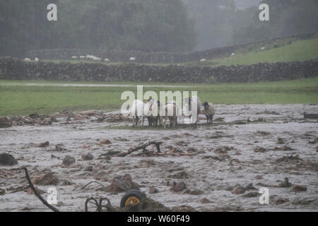 Holme Farm, Arkengarthdale, North Yorkshire Regno Unito. Il 30 luglio 2019. Regno Unito Meteo. Scene di devastazione come pioggia torrenziale provoca inondazioni che hanno attraversato Holme Farm in Arkengarthdale danneggiando edifici e di balayage alcuni animali di distanza. Nella vicina Swaledale un ponte anche crollata. Credito: David Forster/Alamy Live News Foto Stock