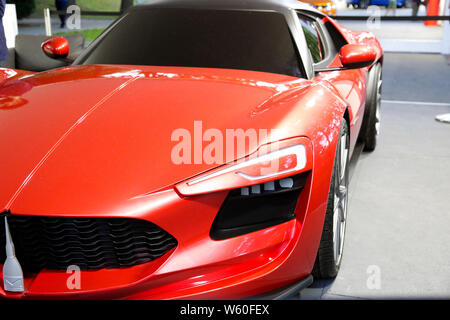 Parco Valentino al Motorshow 2019: mostre di supercars nello storico castello del Valentino, Torino, Piemonte, Italia Foto Stock