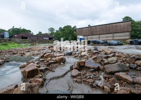 Holme Farm, Arkengarthdale, North Yorkshire Regno Unito. Il 30 luglio 2019. Regno Unito Meteo. Scene di devastazione come pioggia torrenziale provoca inondazioni che hanno attraversato Holme Farm in Arkengarthdale danneggiando edifici e di balayage alcuni animali di distanza. Nella vicina Swaledale un ponte anche crollata. Credito: David Forster/Alamy Live News Foto Stock