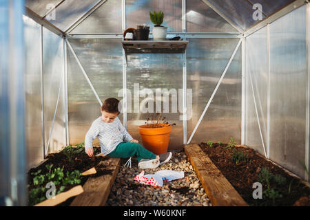 Ragazzo seduto all'interno di back yard green house Foto Stock