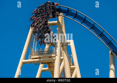 Baia di Tampa, Florida. Luglio 12, 2019. Vista dall'alto di persone godendo di Montu rollercoaster al Busch Gardens Foto Stock