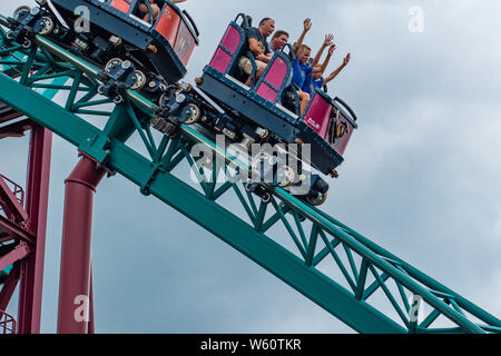 Baia di Tampa, Florida. Luglio 12, 2019.persone avendo divertimento incredibile Cobras maledizione rollercoaster al Busch Gardens Foto Stock