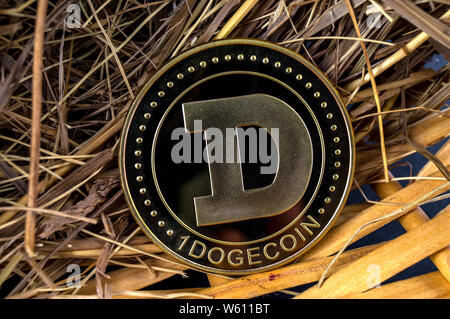 DOGE Dogecoin cryptocurrency mezzi di pagamento nel settore finanziario Foto Stock