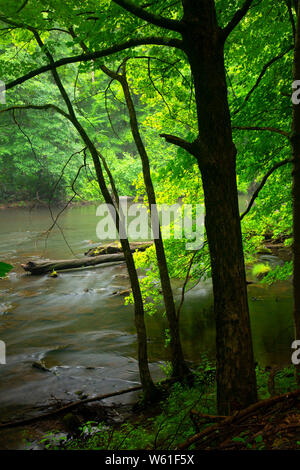 Quinnipiac fiume lungo Quinnipiac River Gorge Trail, Meriden sentiero lineare, Meriden, Connecticut Foto Stock