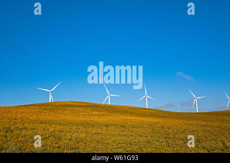 Solano Paese fattorie eoliche in California Foto Stock