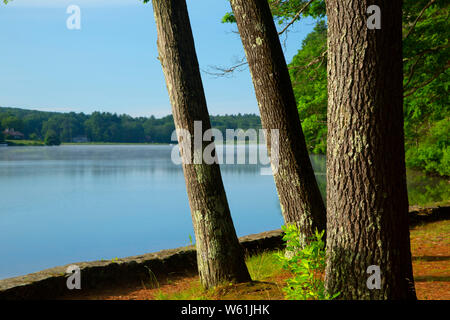 Walker Pond, pozzi del parco statale, Massachusetts Foto Stock
