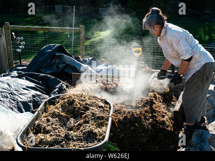 Un agricoltore urbano girando molto attivo e hot compostaggio Foto Stock