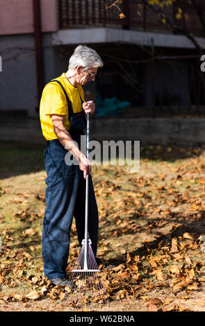 Raccolta uomo caduto foglie di autunno nel cortile posteriore Foto Stock