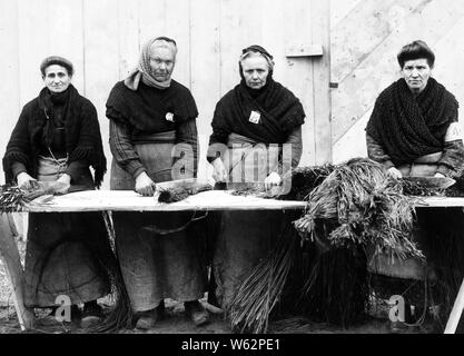 Contadini francesi di taglio erba raffa di legare il camuffamento tappetini al filo netting, Dijon, Francia, camuffamento di impianto. Duecento le donne vengono impiegate a 4 franchi al giorno. Aprile 1918. Foto Stock