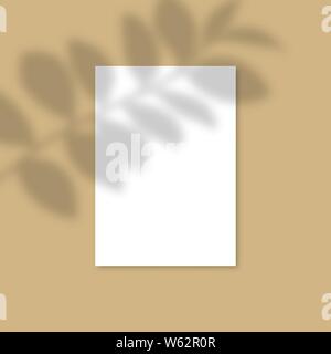 Verticale A4 la carta Mockup con ombre realistiche le sovrapposizioni di foglia. Ombra del vettore di una pianta tropicale. Modello Flyer, Poster, vuota in un stile moderno Illustrazione Vettoriale