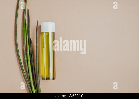 Organico, cosmetici naturali. Verde Naturale shampoo, tonico per capelli, pelle piatta lay Foto Stock