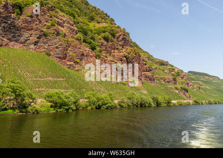 Montagna con rocce di ardesia e vigna sul fiume Mosella vicino alla città di Bernkastel-Kues, Germania Foto Stock