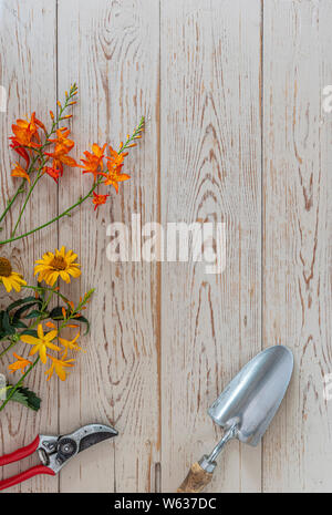 Fiori d'estate prevista su di un tavolo di legno, con copia spazio e attrezzi da giardino. Foto Stock