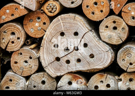 Bug hotel, un aiuto per nidificare artificialmente, che offre ripari e strutture per nidificare api solitarie, insetti a pelo di legno del genere Anthidium Garden Foto Stock