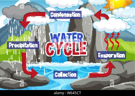 Acqua di processo di ciclo sulla terra - illustrazione scientifica Illustrazione Vettoriale