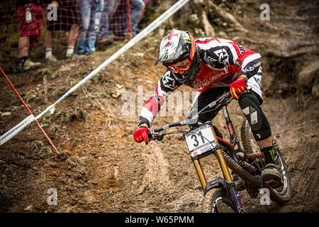 LEOGANG, Austria - 22 settembre 2013. Steve Peat (GBR) racing per il Santa Cruz Syndicate team a UCI di Coppa del Mondo di Mountain Bike Downhill evento. Foto Stock