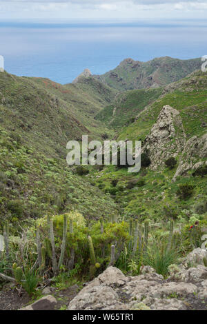 Anaga mountain range, Tenerife, Isole canarie, Spagna, Unione europea Foto Stock