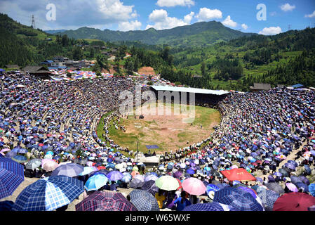 Popolo di Miao e Dong gruppi etnici e vacanzieri guarda una corrida in un villaggio, città Xiajiang, Congjiang county, Kaili city, a sud-ovest della Cina di Foto Stock