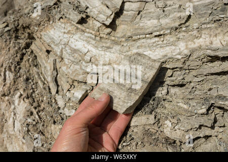 Cava di gesso, schwaebisch hall, hohenlohe REGIONE DEL BADEN-WUERTTEMBERG, Heilbronn-Franconia, Germania Foto Stock